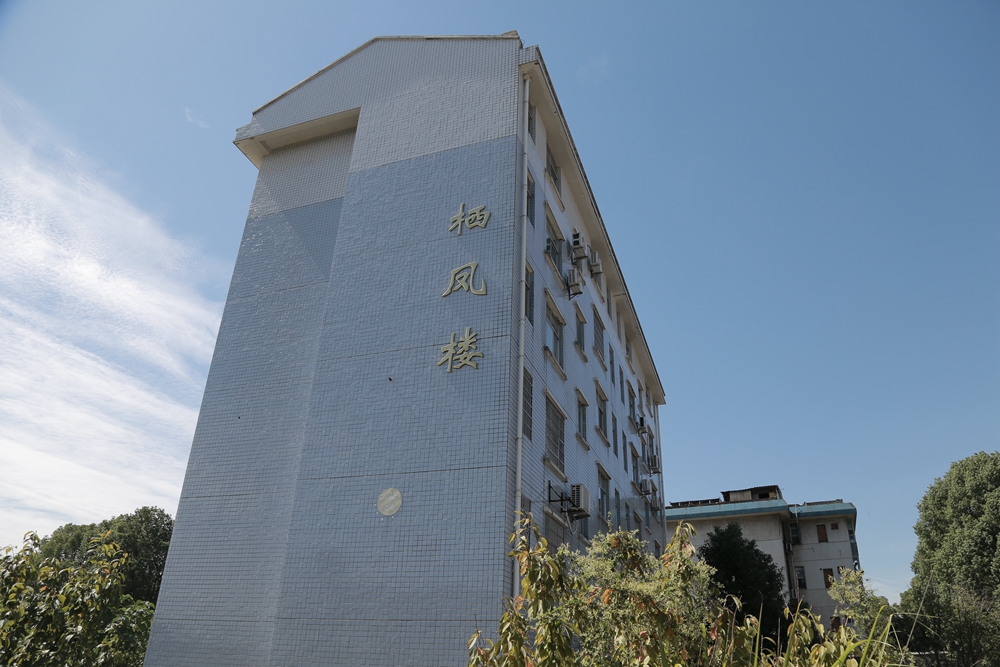栖风楼.jpg